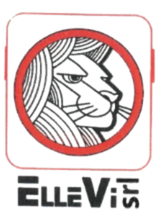 logo ellevi